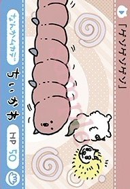 官網 撕拉卡 隨機卡 N卡