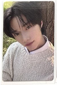 杋圭25日巡粽卡