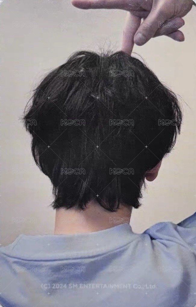 2024 EXO ONE FANMEETING  周邊卡 衣服卡 背面