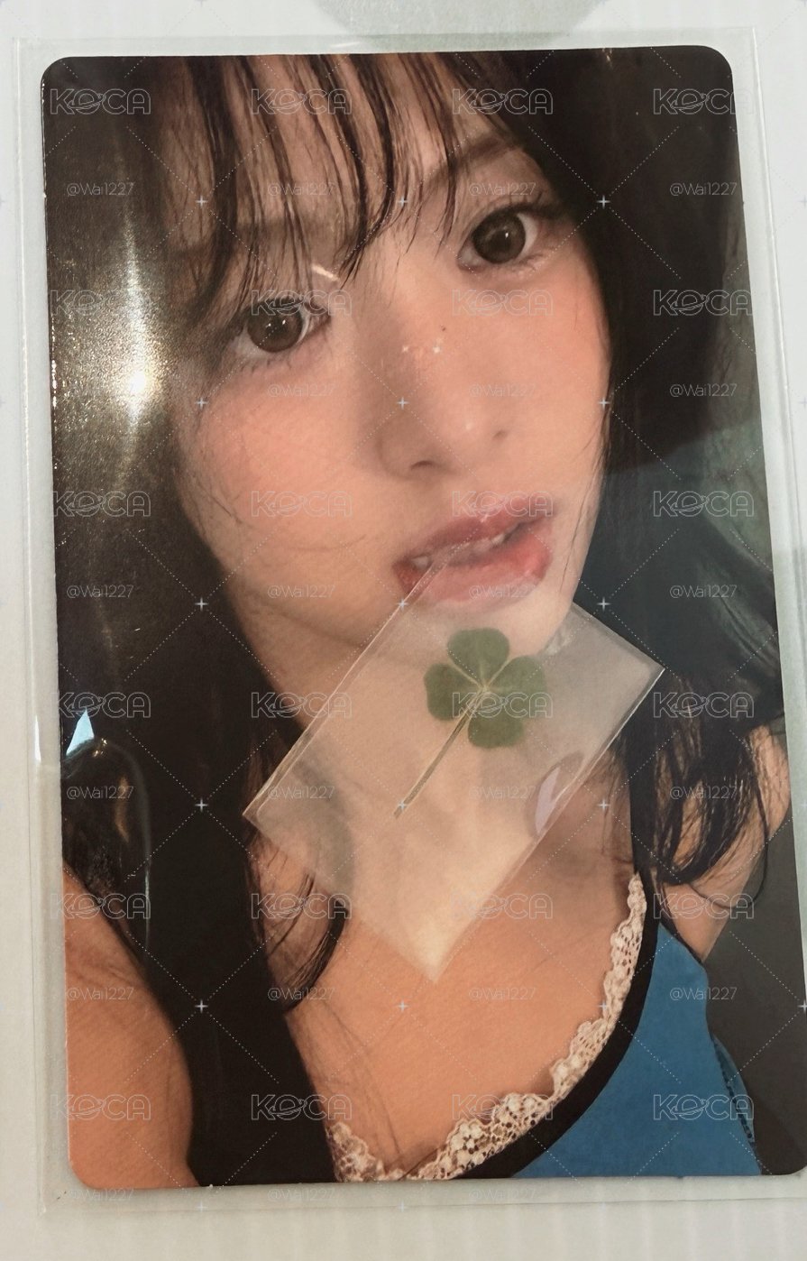 幸運草賢 