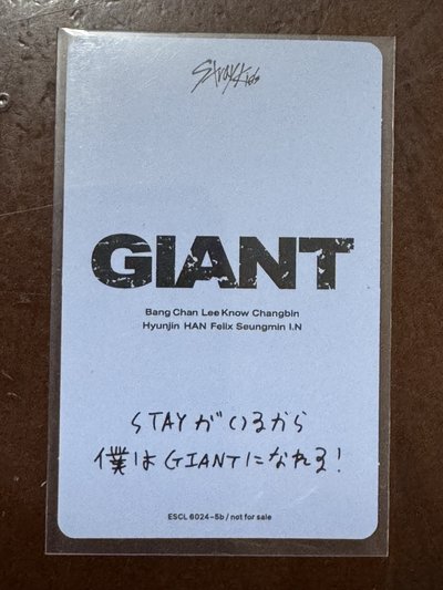 GIANT專卡 玟
