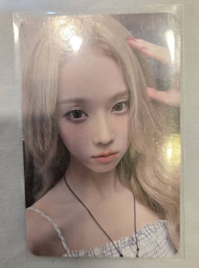 whiplash el幸運卡 狗耳冬／500