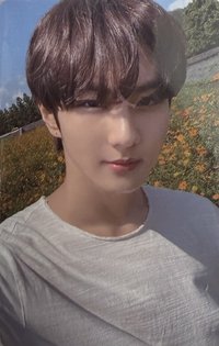 FATE+ 入場卡 / 場限卡 