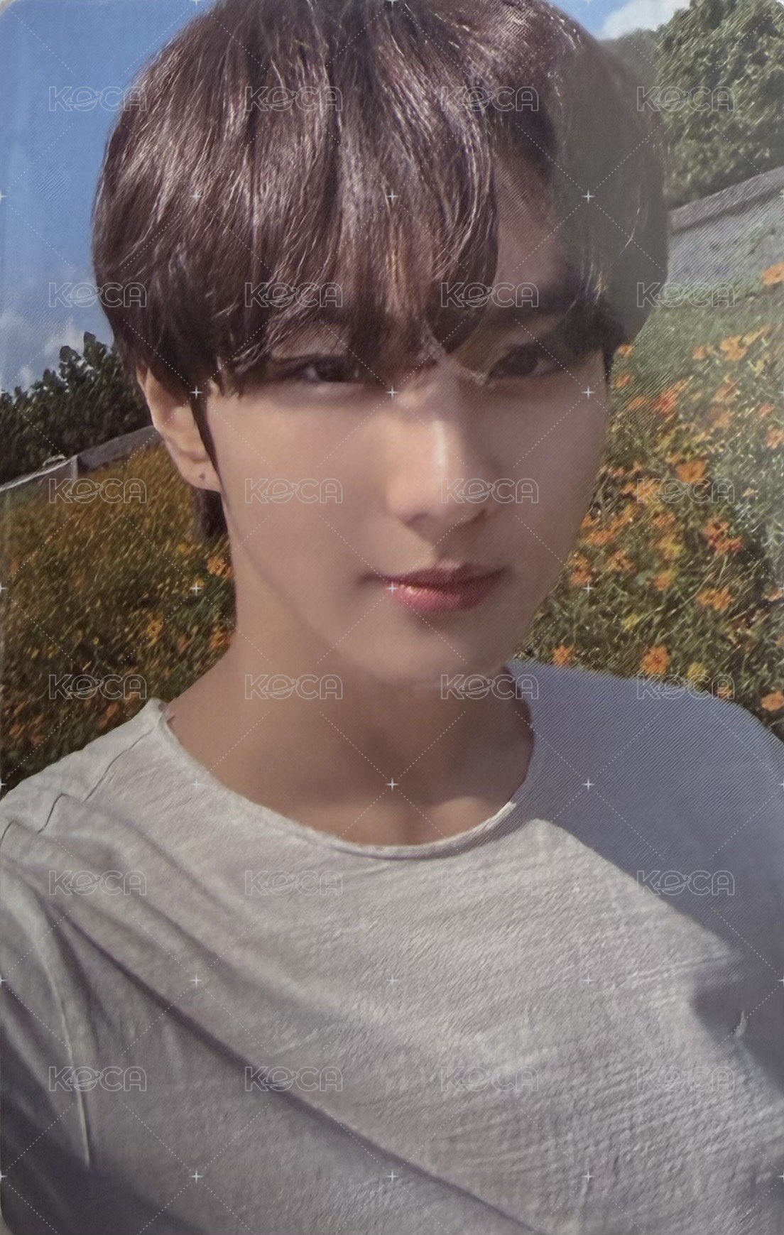 FATE+ 入場卡 / 場限卡  背面