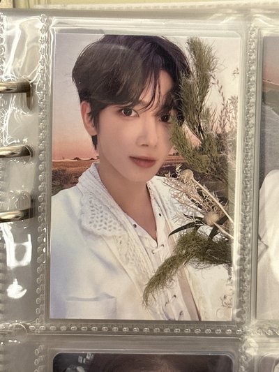 24三巡粽卡 圭顯凱