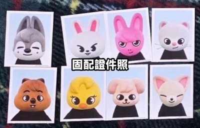 SKZ日本飯咪固配