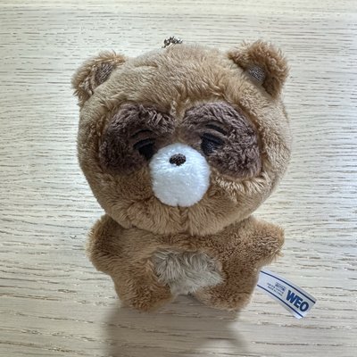 THE BOYZ TBZ 金善旴 飯製娃 小浣熊