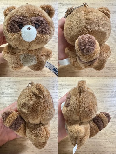 THE BOYZ TBZ 金善旴 飯製娃 小浣熊