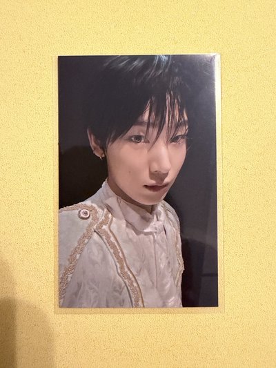 善禹 fate世巡 衣服卡