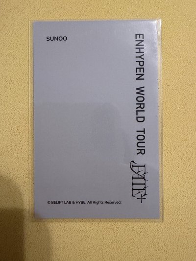 善禹 fate世巡 衣服卡