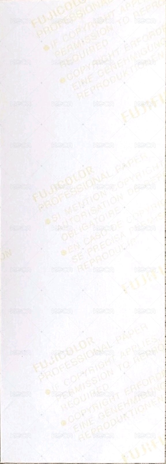 正規一輯 人生四格卡  背面