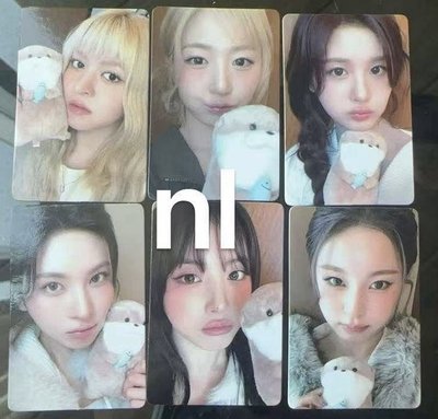 數星星 青島 獺獺抱抱一套