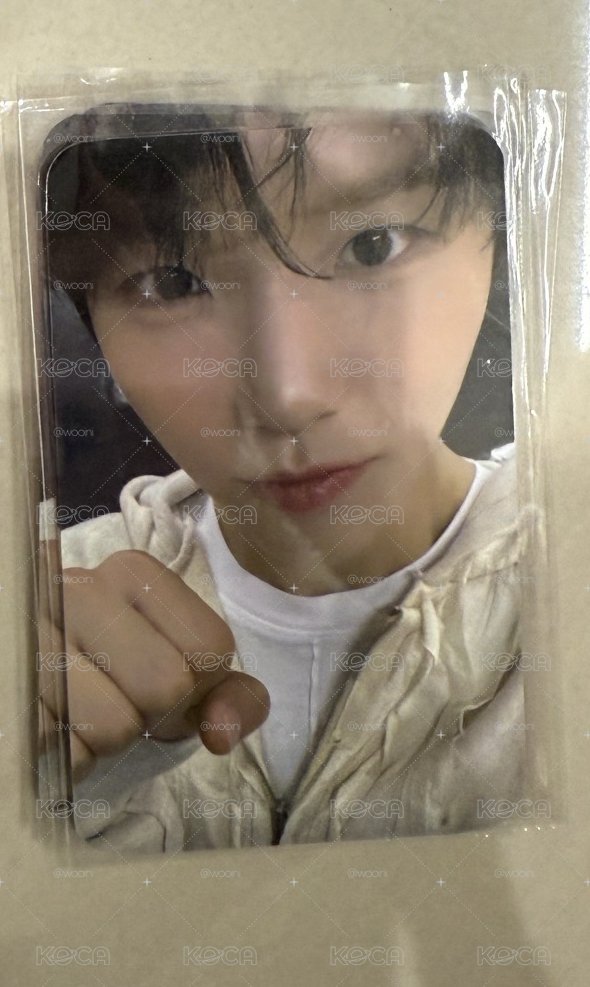 nct wish jaehee steady 台北mg特典卡
