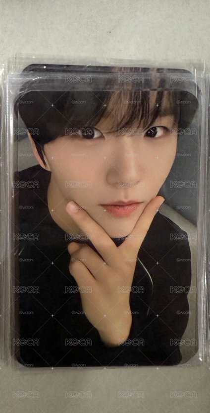 nct wish jaehee steady 台北簽售特典卡