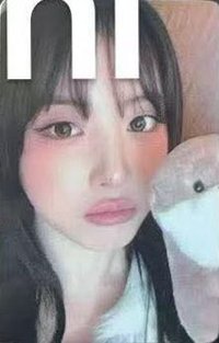 正規一 數星星 合影 6.0 簽售卡 獺獺抱抱 ver.