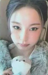 正規一 數星星 合影 6.0 簽售卡 獺獺抱抱 ver.