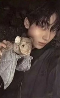 迷七 wvs 1.0 幸運卡 