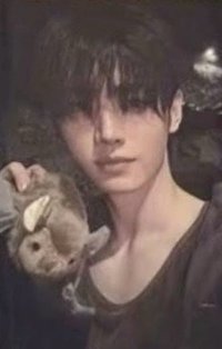 迷七 wvs 1.0 幸運卡 