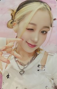 迷二 周邊卡 卡套卡