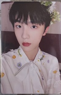 蝴蝶效應 專輯卡 