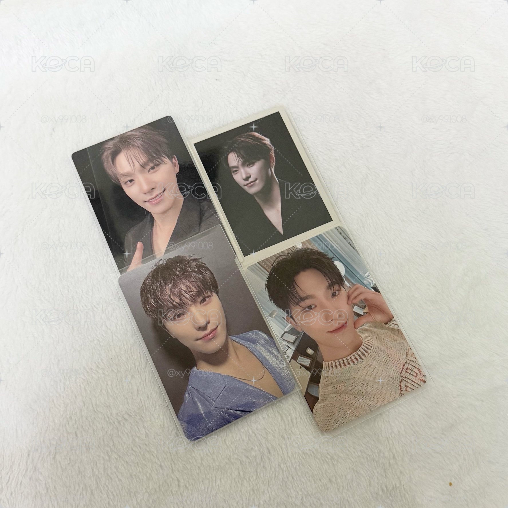 SEVENTEEN DINO 小卡SET
