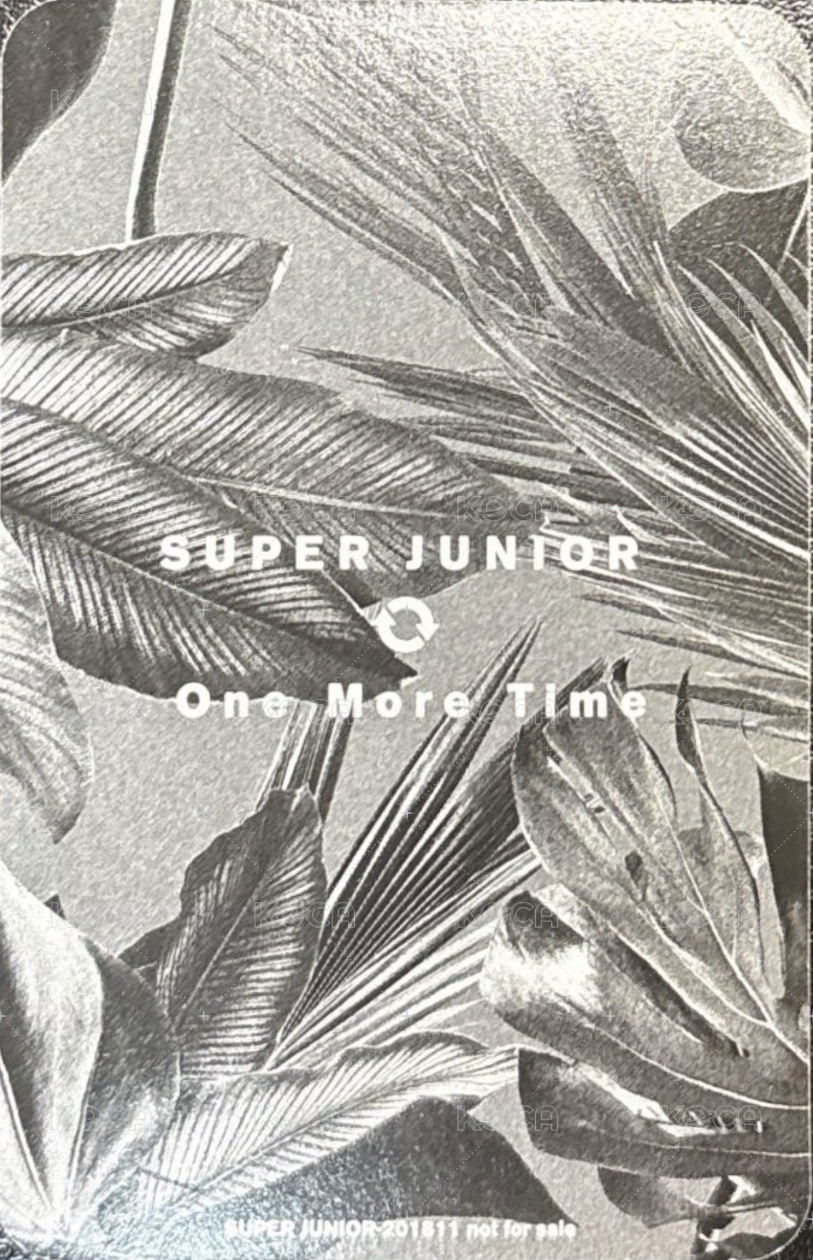 日單9 專輯卡  背面