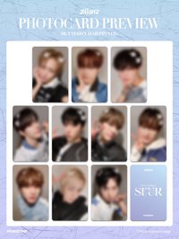 迷五 ms簽售 蝴蝶髮夾ver.