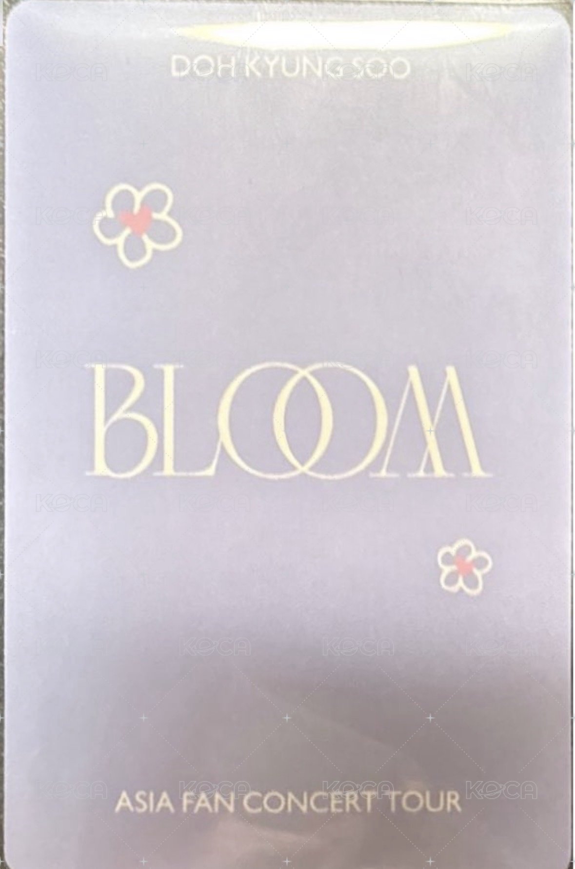 2024 亞巡 BLOOM 滿額卡 首爾滿額 黑帽嘟 背面