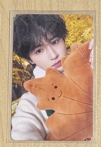 秋日記憶 專輯卡  單人固卡