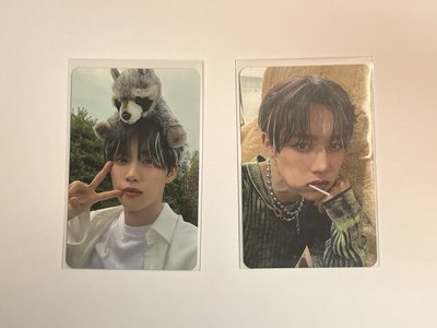 善旴護髮噴霧代言卡