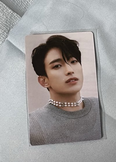 Wvs JAPAN 人魚寛人魚碩