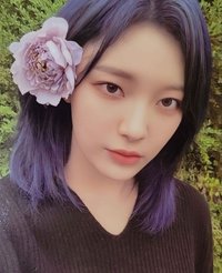 紅豆冰   特典卡 