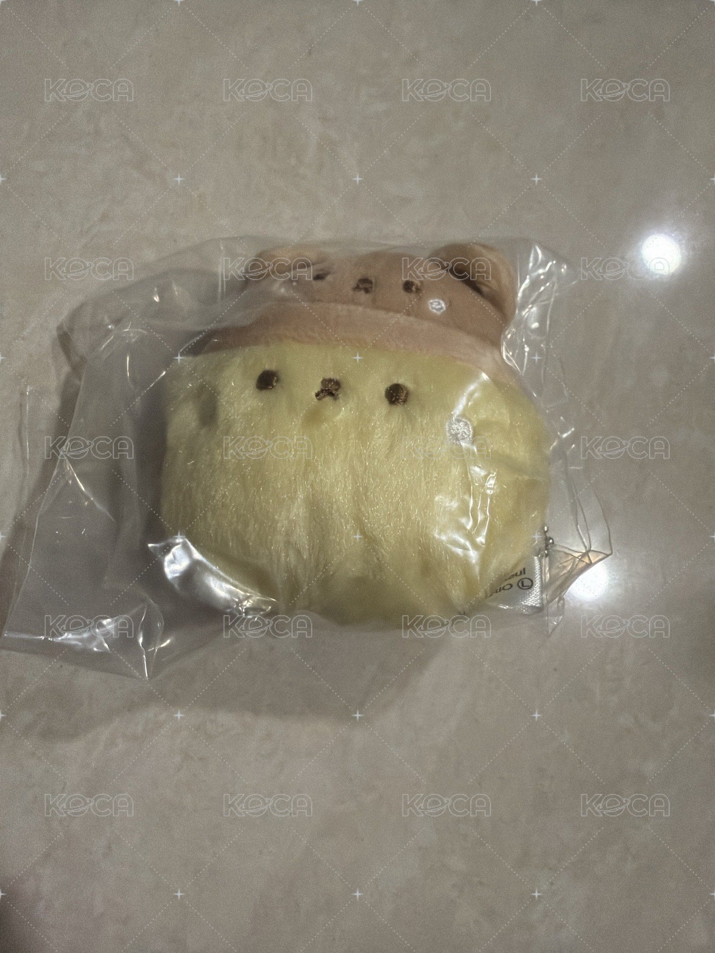 小熊帽布丁狗