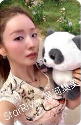 迷11 sr 預售 特典卡 