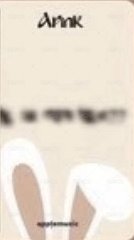 迷11 am 2.0 簽售卡  背面