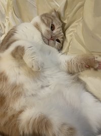 chuuu