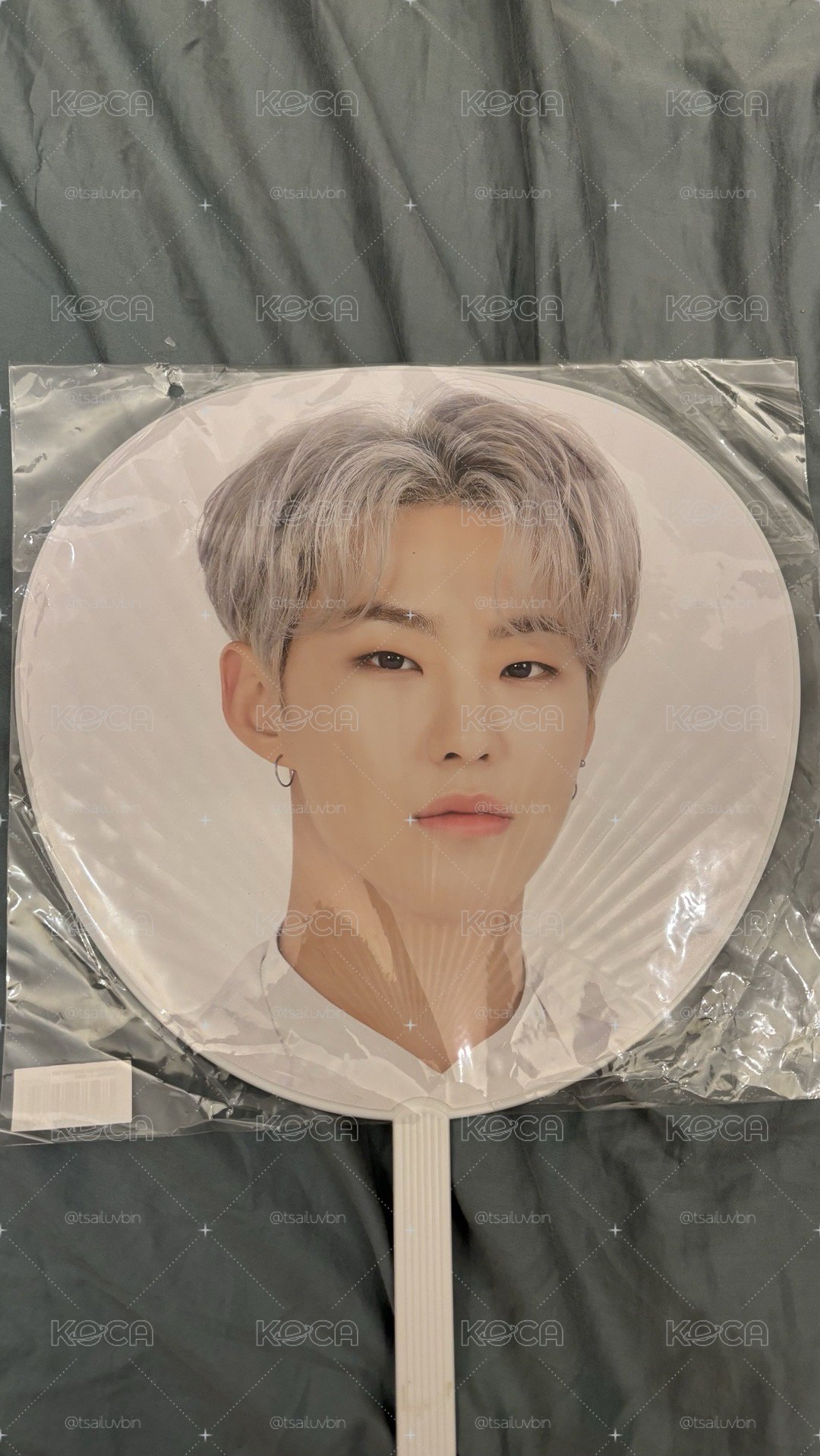 HOSHI 權順榮-2020蛋巡王扇
