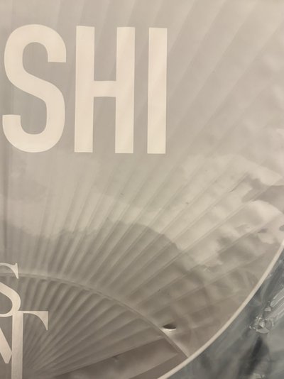 權順榮HOSHI 2020蛋巡王扇