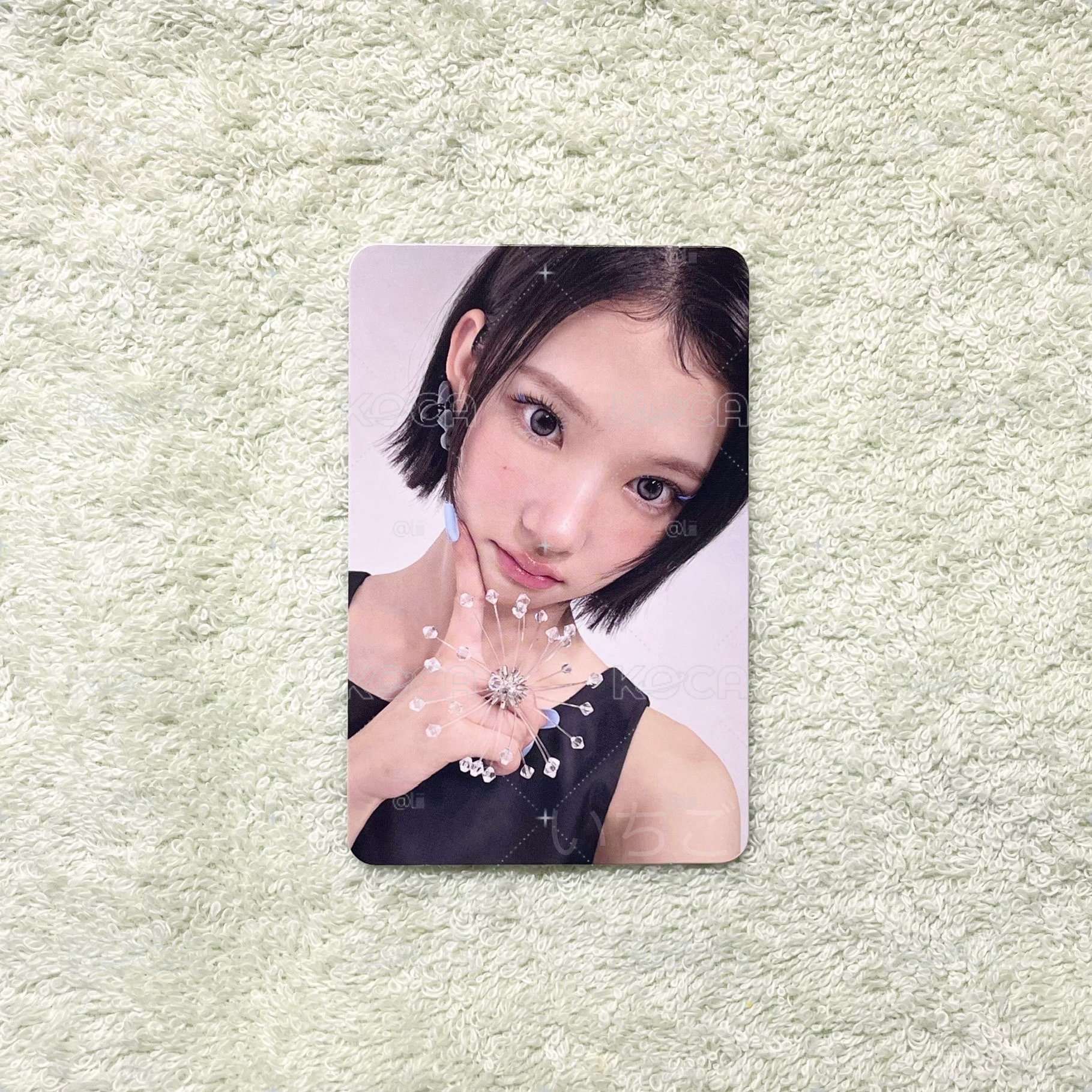 Jiwoo🍓FOCUS RULE BOOK版專輯小卡