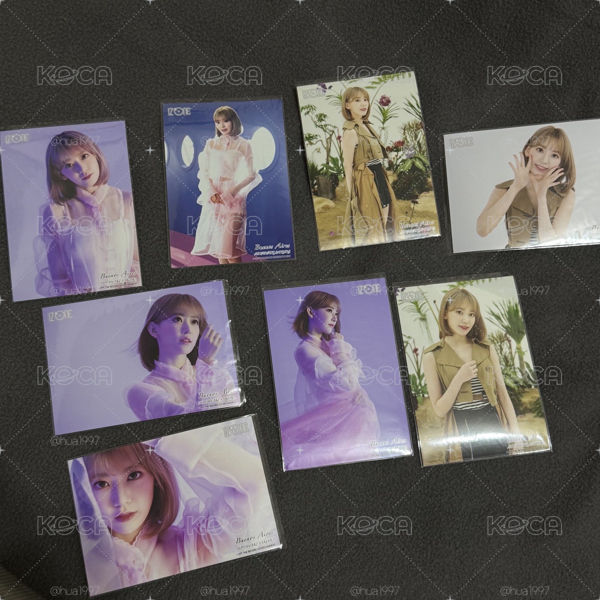 現貨 IZONE Sakura 日本生寫真 Buenos Aires TypeA 