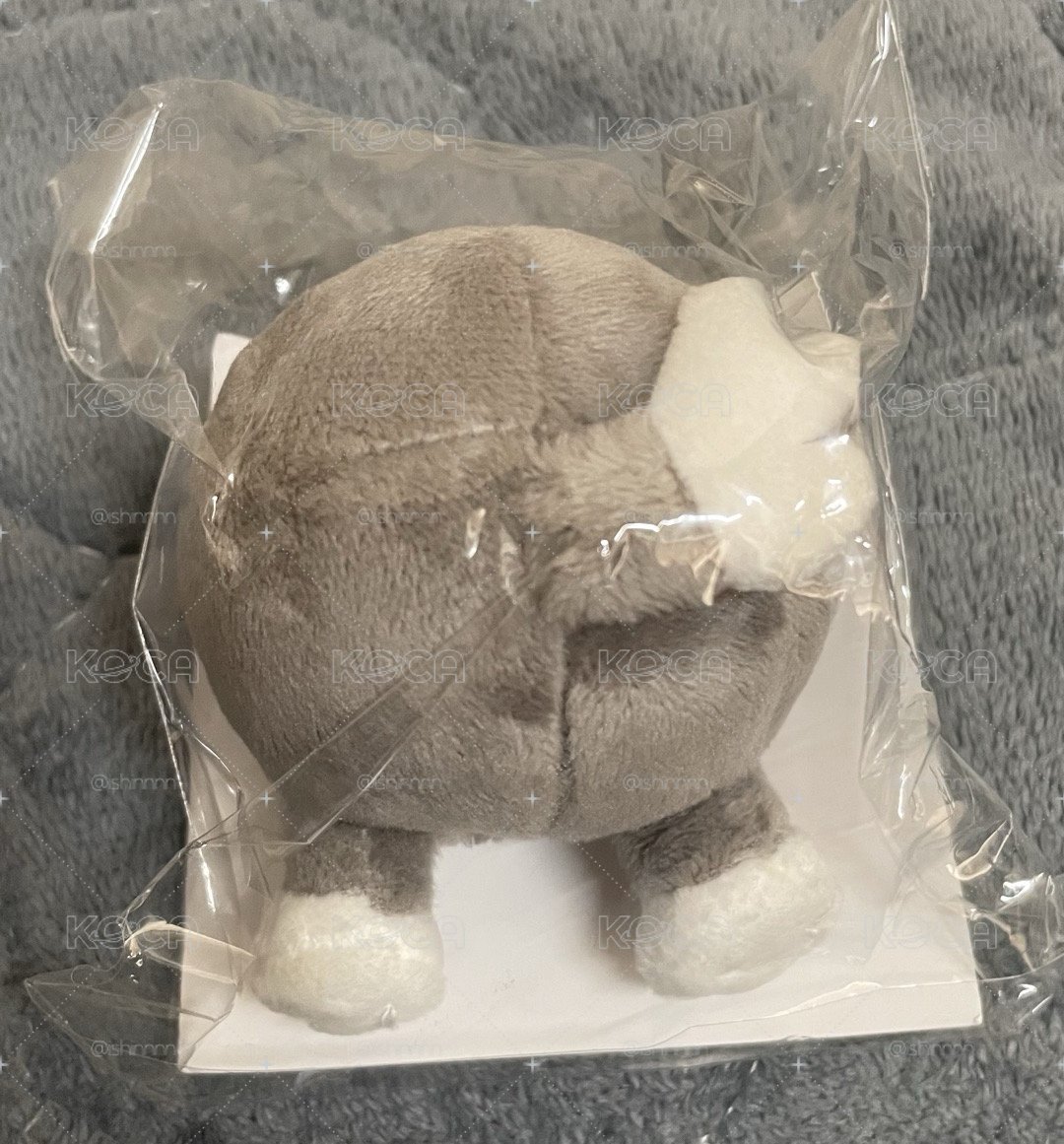 方燦 屁屁支架 
