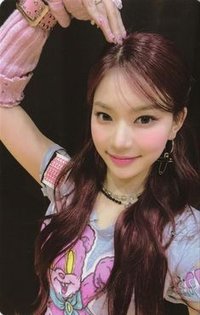 Teddy Bear 專輯卡 