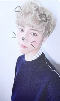 迷一 打歌卡 貓狗