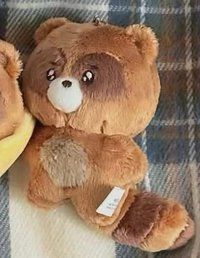 吊娃 淚眼小浣熊