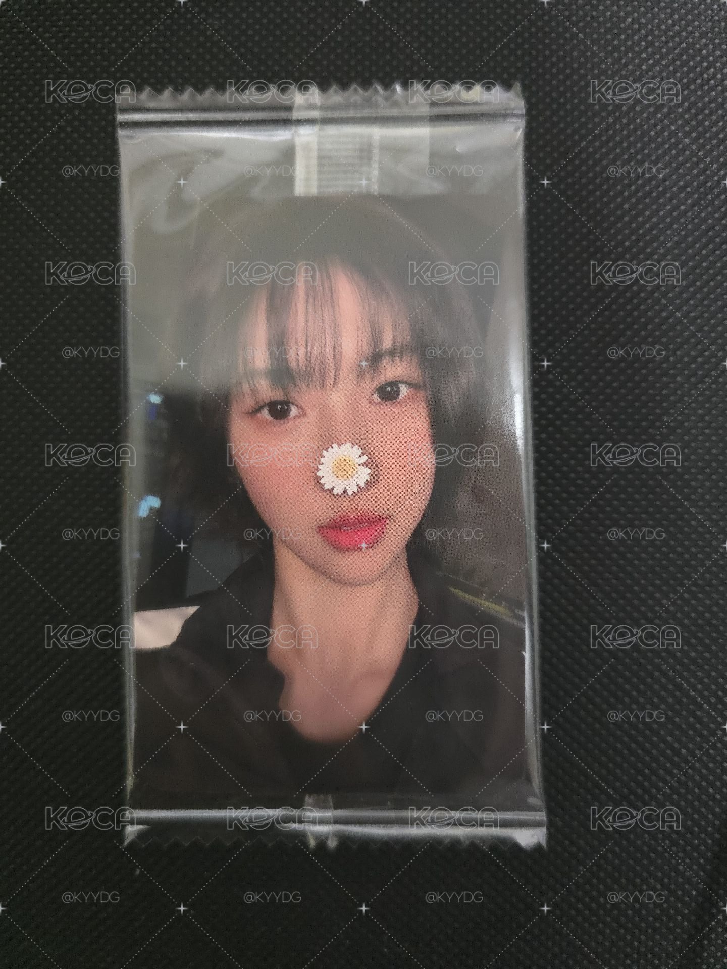 K4 1.0 裕賢 雛菊