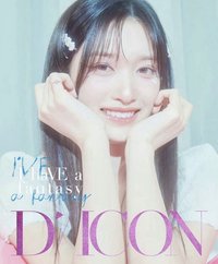DICON B ver. 雜誌 