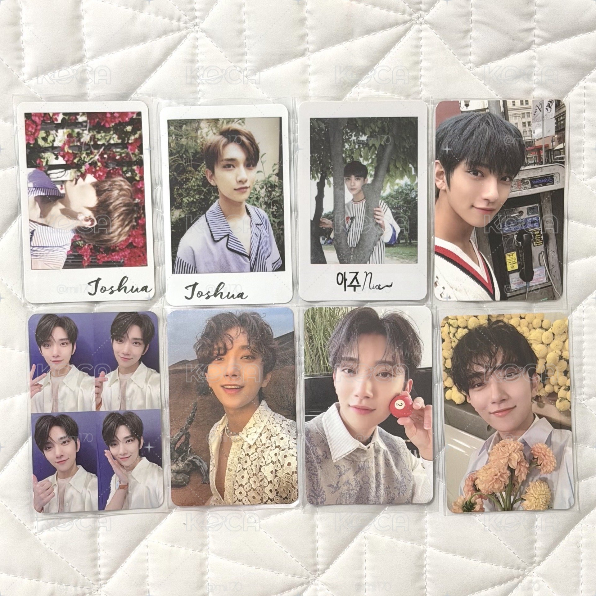 JOSHUA 知秀 專卡