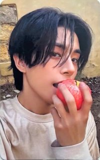 迷七 單封 隨機A 專輯卡 