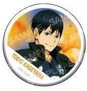 POMMOP 徽章 橫斷募