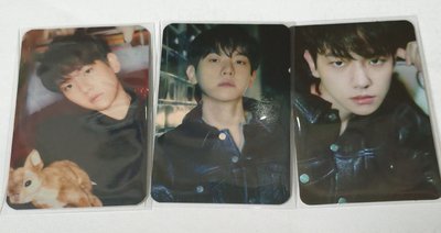 伯賢 BAMBI系列小卡